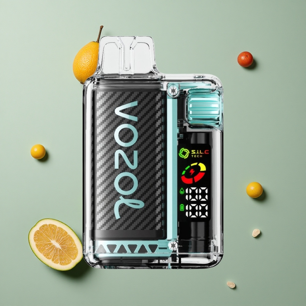 VOZOL Vista 20000 Puffs Jednokratna Vape Miami Metvica s OLED Ekranom